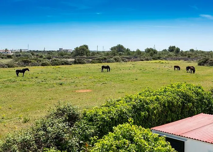 Mar Blanca By Mauter Apartament